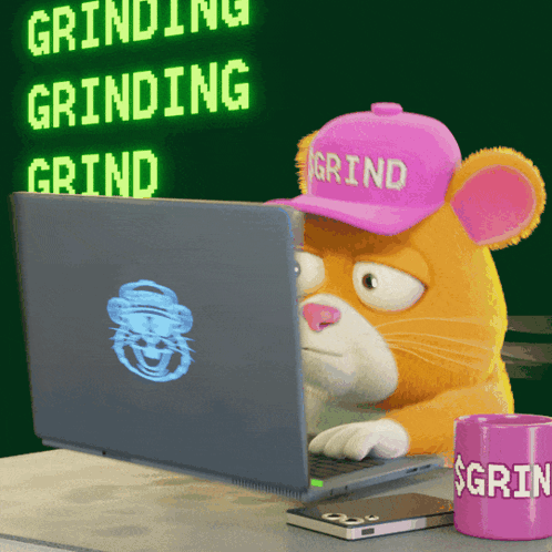 A Cartoon Cat Wearing A Pink Hat That Says Grind GIF