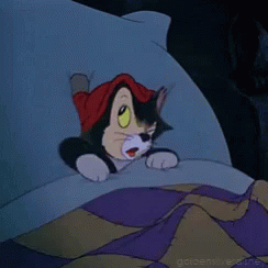 A Cartoon Cat Wearing A Red Hat Is Laying In Bed GIF