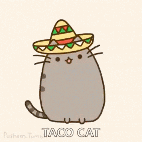 A Cartoon Cat Wearing A Sombrero With The Words Taco Cat Written Below It . GIF