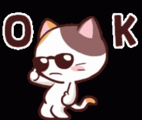 A Cartoon Cat Wearing Sunglasses And The Word Ok GIF