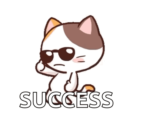 A Cartoon Cat Wearing Sunglasses And The Word Success GIF