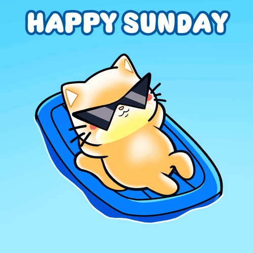 A Cartoon Cat Wearing Sunglasses Is Laying On A Blue Raft With The Words Happy Sunday Above It GIF