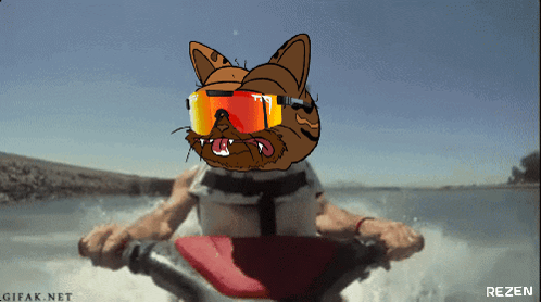 A Cartoon Cat Wearing Sunglasses Is Riding A Jet Ski In The Water GIF