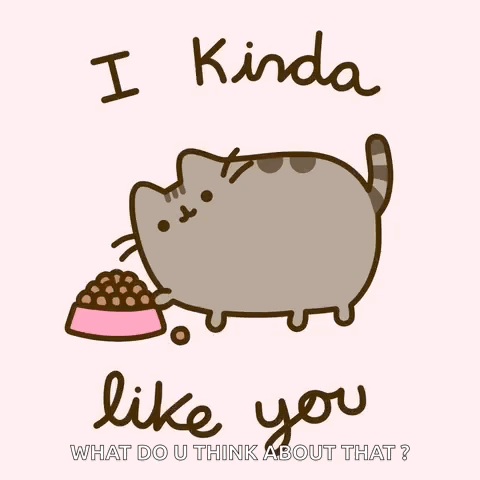 A Cartoon Cat With A Bowl Of Food Says I Kinda Like You What Do U Think About That ? GIF