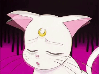 A Cartoon Cat With A Crescent Moon On Its Forehead GIF
