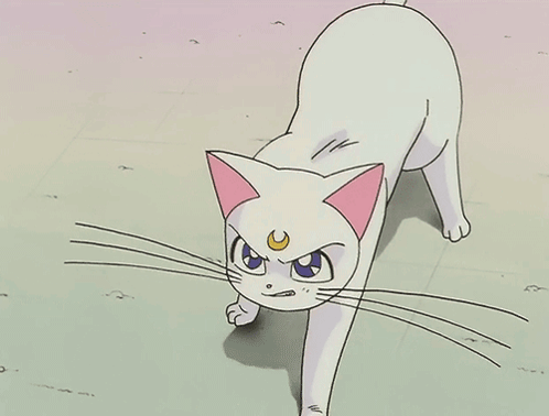 A Cartoon Cat With A Crescent Moon On Its Head GIF