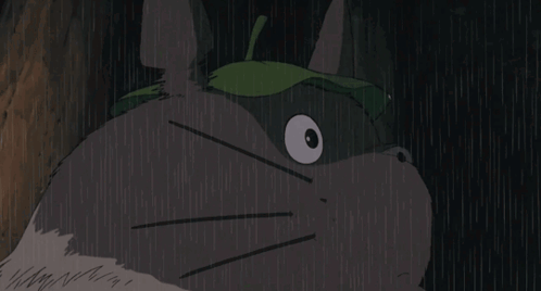 Rainy Green Leaf Cat GIF