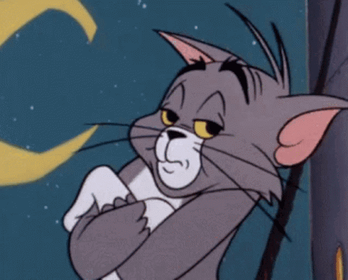 A Cartoon Cat With A Sad Look On His Face Is Standing In Front Of A Moon GIF