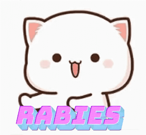 A Cartoon Cat With The Word Rabies Written On It 'S Face . GIF