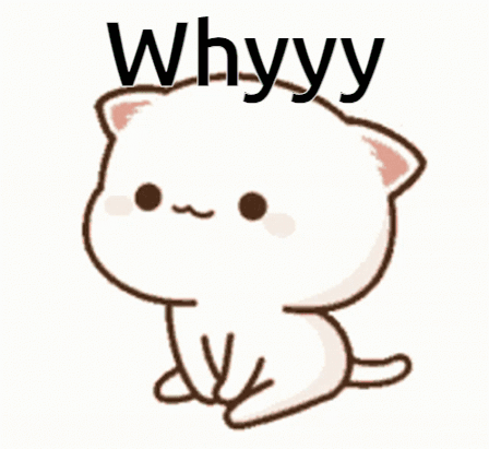 A Cartoon Cat With The Word Whyyy Written On It GIF