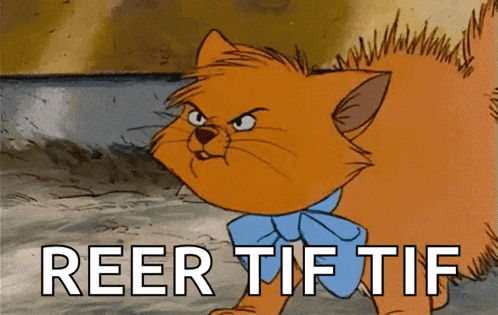 A Cartoon Cat With The Words Reer Tif Tif Written Below It GIF