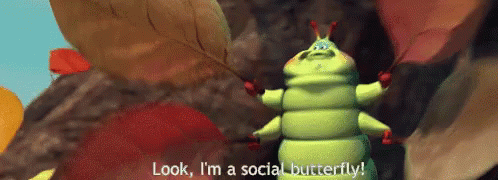 A Cartoon Caterpillar Is Standing In A Cave And Says `` Look , I 'M A Social Butterfly ! '' GIF