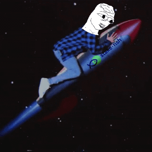 A Cartoon Character Is Riding A Rocket That Says Stake Fish GIF