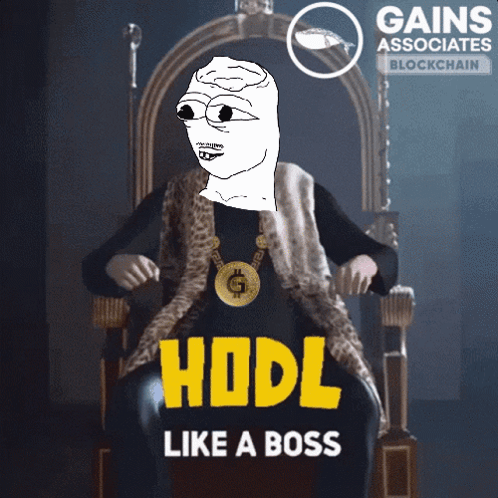 A Cartoon Character Is Sitting On A Throne With The Words Hodl Like A Boss Below Him GIF