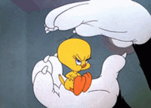 A Cartoon Character Named Tweety Is Being Held By A Large White Hand GIF