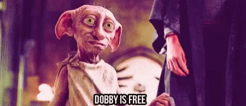 A Cartoon Character Says Dobby Is Free While Standing Next To A Man GIF