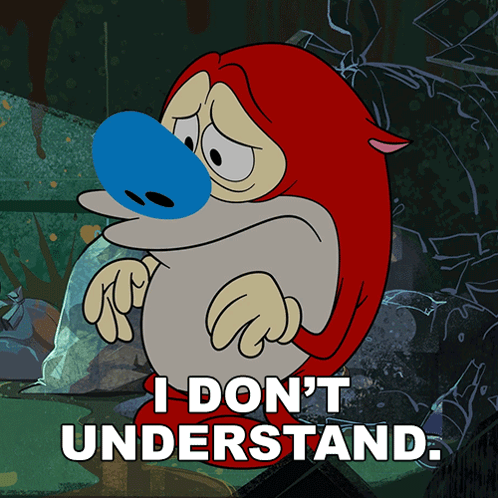 A Cartoon Character Says I Don T Understand GIF