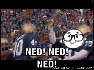 A Cartoon Character Says Ned Ned Ned In Front Of A Crowd Of People GIF