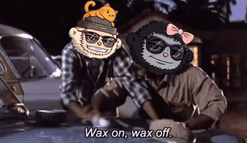 A Cartoon Character Says Wax On Wax Off In Front Of A Car GIF