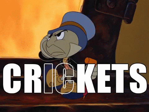 A Cartoon Character With The Word Crickets Written Below Him GIF