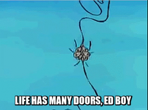 a cartoon character with the words life has many doors ed boy on the bottom