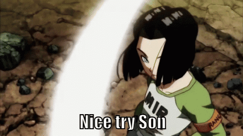 A Cartoon Character With The Words Nice Try Son Written On The Bottom GIF