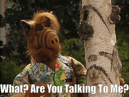 A Cartoon Character With The Words What Are You Talking To Me Below Him GIF