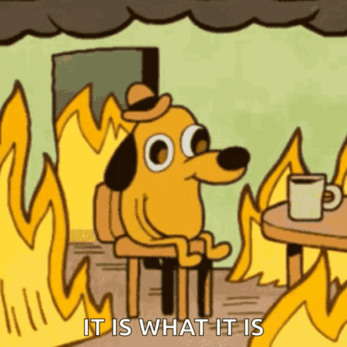 A Cartoon Dog Is Sitting In Front Of A Fire With The Words " It Is What It Is " Above Him GIF