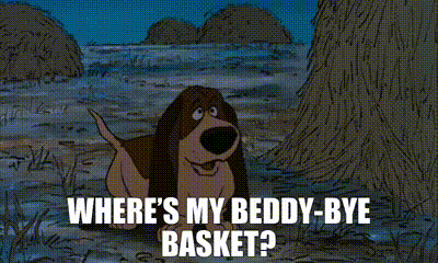 A Cartoon Dog Says Where 'S My Beddy Bye Basket GIF