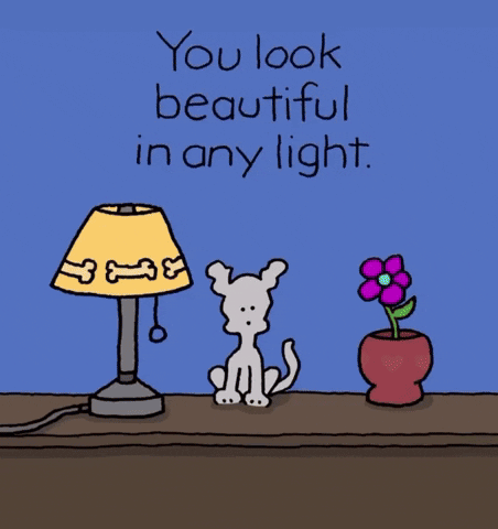 A Cartoon Dog Standing Next To A Lamp With The Words " You Look Beautiful In Any Light " GIF