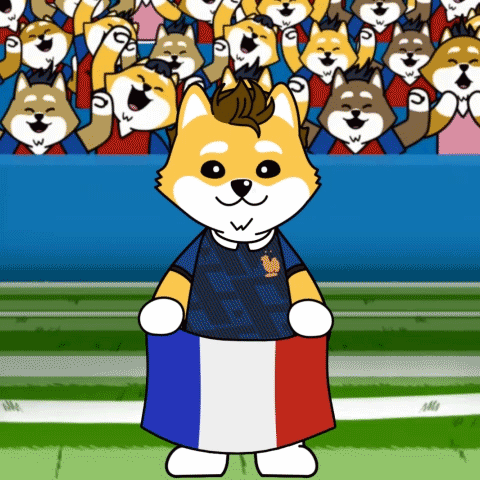 a cartoon dog wearing a french jersey holds a french flag