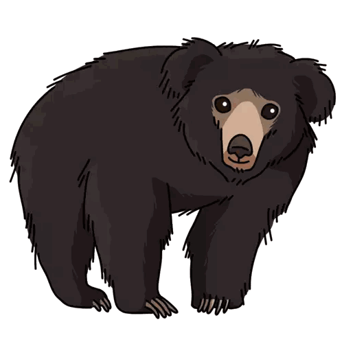a cartoon drawing of a black bear with a brown face