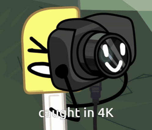 A Cartoon Drawing Of A Camera With The Words Caught In 4K Underneath It GIF