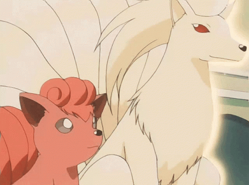 Cartoon Cat And Dog Drawing GIF