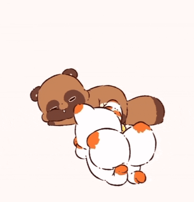 A Cartoon Drawing Of A Cat And A Raccoon GIF