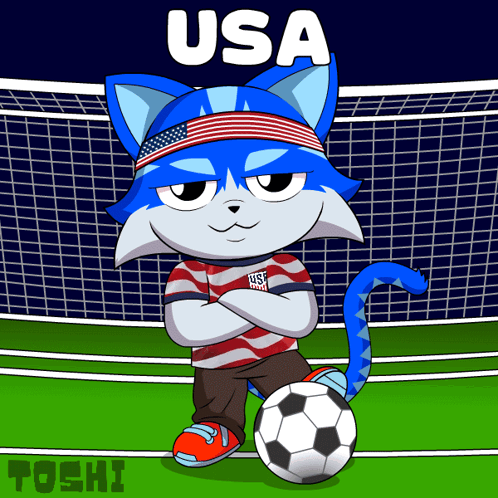 a cartoon drawing of a cat wearing an usa shirt
