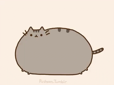 A Cartoon Drawing Of A Cat With The Name Pusheen Tumblr On The Bottom GIF