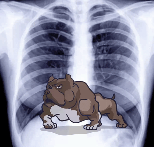 A Cartoon Drawing Of A Dog Standing In Front Of An X-Ray Of A Chest GIF