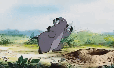 A Cartoon Drawing Of A Groundhog Standing In A Field GIF