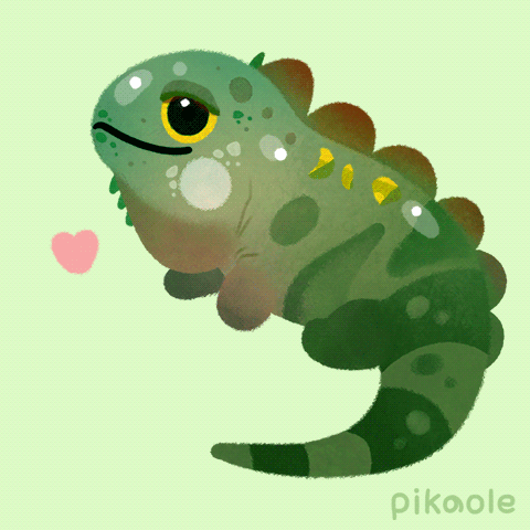A Cartoon Drawing Of A Lizard With The Name Pikoole Below It GIF