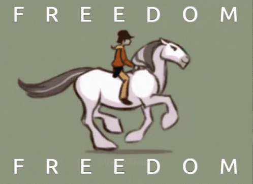 A Cartoon Drawing Of A Man Riding A Horse With The Words Freedom Above Him GIF