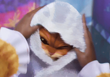 A Cartoon Drawing Of A Person Covering Their Face With A White Cloth GIF