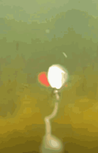 A Cartoon Drawing Of A Person Holding A Red Flower GIF