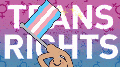 A Cartoon Drawing Of A Person Holding A Transgender Flag With The Words Trans Rights In The Background GIF