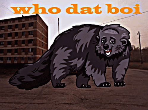 A Cartoon Drawing Of A Raccoon With The Words Who Dat Boi Below It GIF
