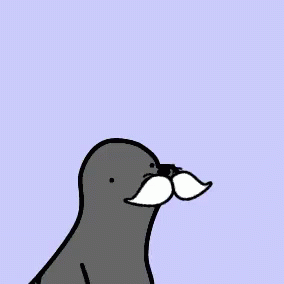 A Cartoon Drawing Of A Seal With A Mustache And The Words Diabeetus GIF