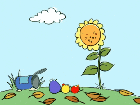 A Cartoon Drawing Of A Sunflower And Some Fruits GIF