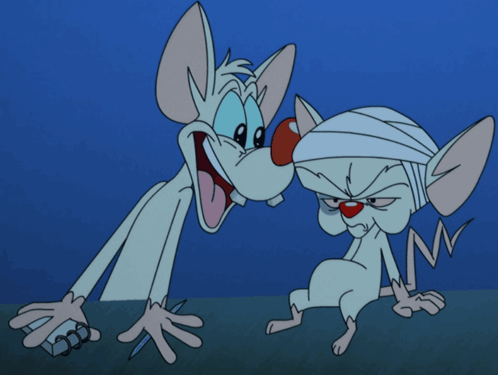 a cartoon drawing of pinky and the brain
