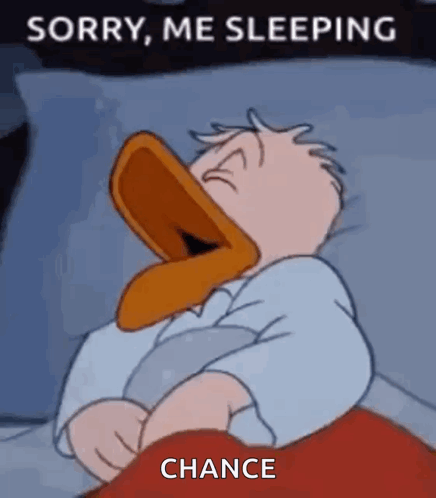 A Cartoon Duck Is Sleeping In A Bed With The Words `` Sorry , Me Sleeping Chance '' Written On It . GIF