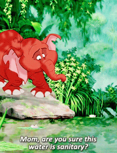 A Cartoon Elephant Is Standing On A Rock Near A Body Of Water And Says " Mom Are You Sure This Water Is Sanitary " GIF